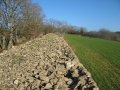 Chemin des murs à Rains