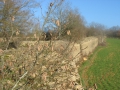 Chemin des murs à Rains